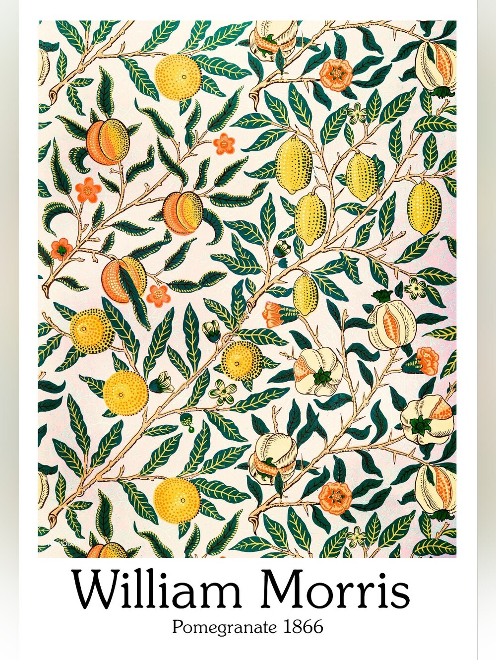 Pomegranate 1866 Botanical Wall Art Print - Green, Yellow, Orange 16x20